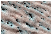 Lobe of Material with Spiders
