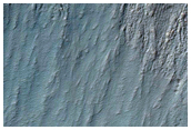 Gully Monitoring
