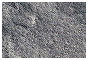 Gullies on Mound in Tempe Terra
