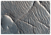 Network of Ridges in Tempe Terra
