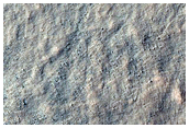 Gully Monitoring
