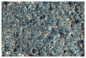 Ares Vallis
