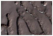 South Polar Residual Cap Mosaic Campaign
