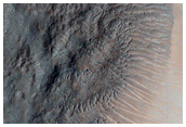Gully Monitoring

