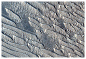 Dust Ridges in Daedalia Planum
