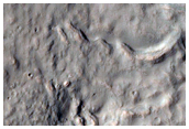 Gully Monitoring
