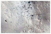Monitoring New Impact Site
