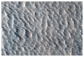 Pits on Ascraeus Mons
