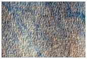 Year-Round Monitoring of Dark Filamentary Streak in Promethei Region
