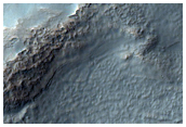 Crater with High Density of Gullies in Terra Sirenum
