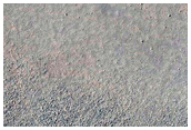Contact Sample
