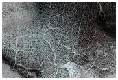 Southern Noachis Terra

