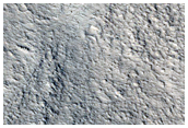 Knobby Terrain
