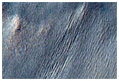 Gully Monitoring
