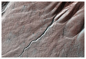 Gully Monitoring
