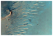 Possible Phyllosilicates in Crater Rim
