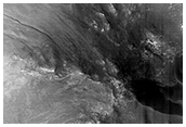 Phyllosilicate Bearing Central Peak in Small Crater in Acidalia Planitia
