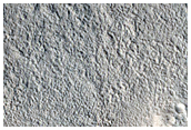 Mesa and Mounds in Utopia Planitia
