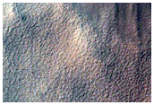 Gully Monitoring
