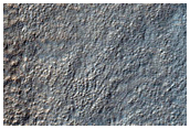 Well-Preserved 500-M Impact Crater in Peneus Patera Region
