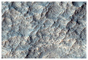Interesting Texture and Thermal Properties in Daytime Infrared
