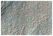 Gullies on the Southern Wall of Ross Crater
