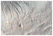 Gully Monitoring
