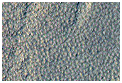 Scarp Monitoring
