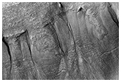 Gully Monitoring
