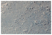 Gully in Nereidum Montes
