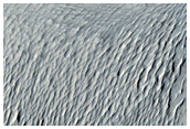 Knobby Terrain
