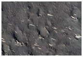 Utopia Planitia
