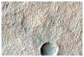 Olivine-Rich Pedestal Crater in Terra Sirenum
