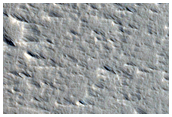 Terrain Sample
