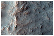 Terrain Sample
