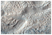 Gullies in Noachis Terra Crater
