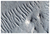 Crater with Linear Elevation Feature