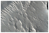 Cones in Isidis Planitia
