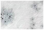 Spiders Not on South Polar Layered Deposits
