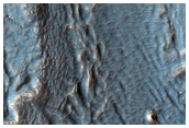 Brain Terrain and Mounds in Hellas Planitia
