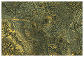 Stratificazioni di colore chiaro lungo le pianure a sudovest di Melas Chasma