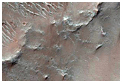 Barcane nel cratere Herschel