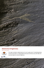 Distinctive Brightness