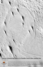 Inverted Meandering Rivers at a Possible Future Mars Landing Site