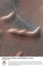 Migrating and Static Sand Ripples on Mars