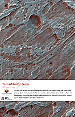 Fans of Roddy Crater