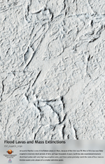 Flood Lavas and Mass Extinctions