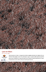 Lace on Mars