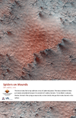 Spiders on Mounds
