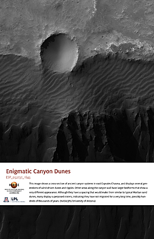 Enigmatic Canyon Dunes